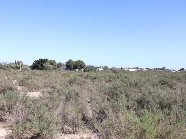 Terreno en Partida Perleta, 102