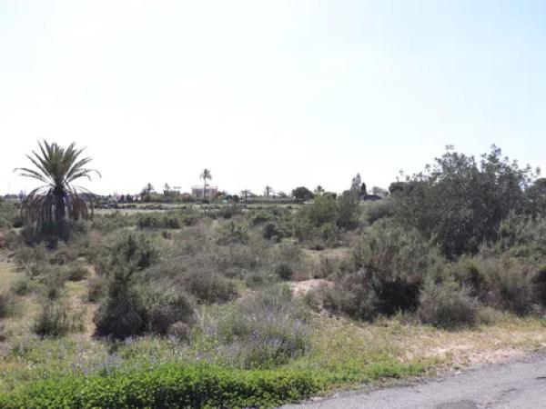 Terreno en Partida Perleta, 102