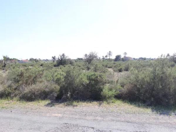 Terreno en Partida Perleta, 102