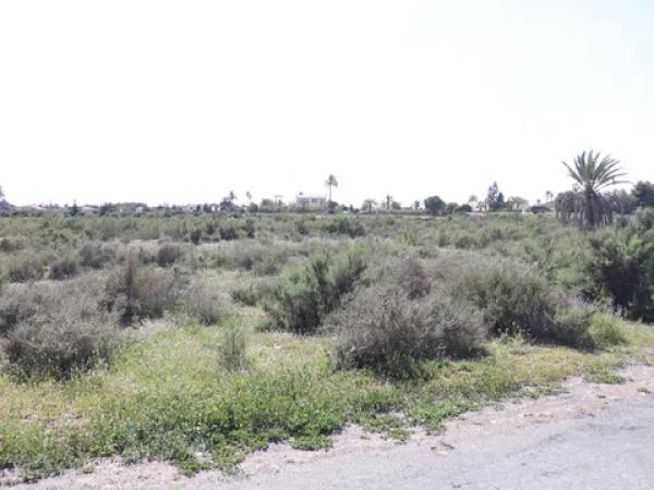 Terreno en Partida Perleta, 102