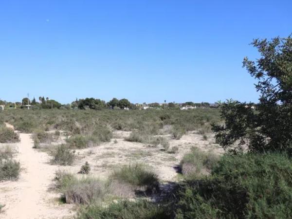 Terreno en Partida Perleta, 102