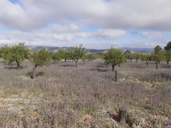 Terreno en Poligono 9, 57