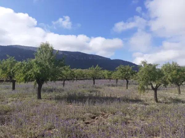 Terreno en Poligono 9, 57