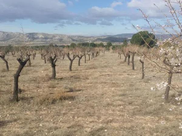 Terreno en Poligono 9, 57