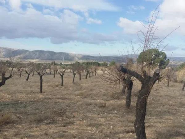 Terreno en Poligono 9, 57
