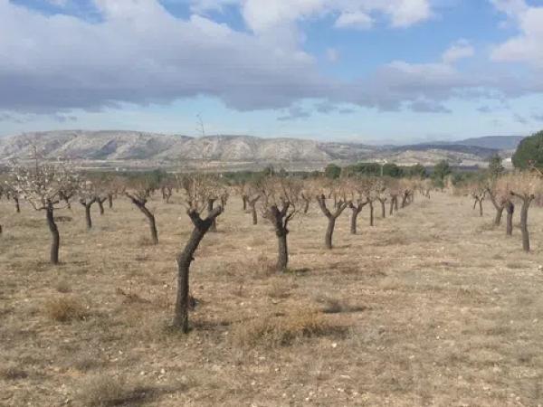 Terreno en Poligono 9, 57