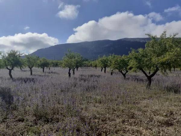 Terreno en Poligono 9, 57
