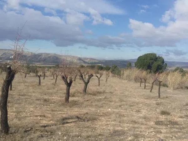 Terreno en Poligono 9, 57