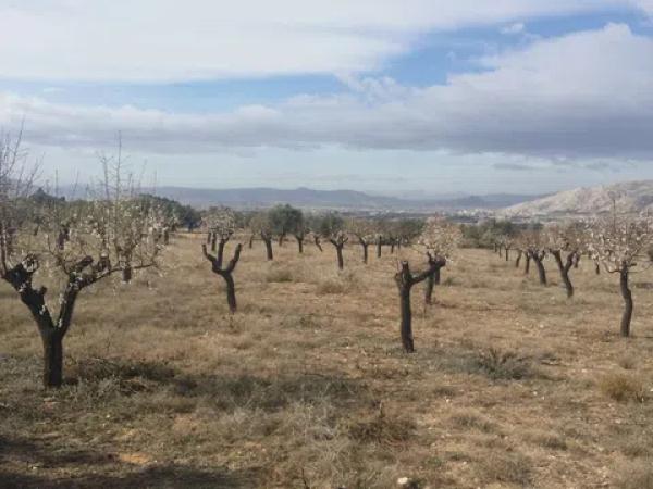 Terreno en Poligono 9, 57