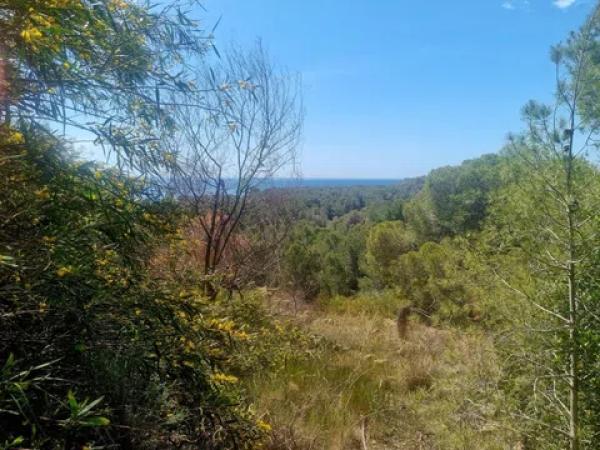 Terreno en calle la Xenna, 12