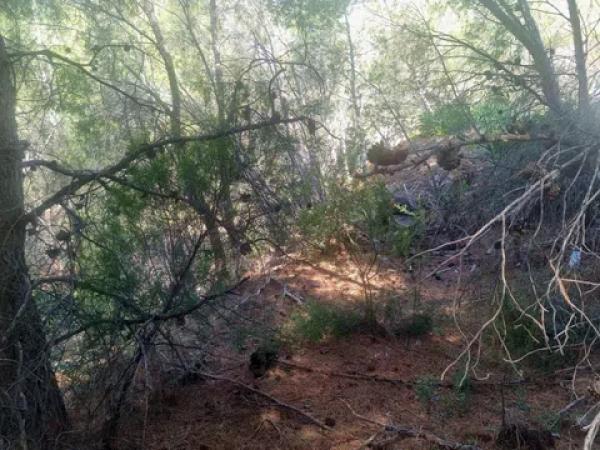 Terreno en calle la Xenna, 12