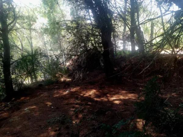 Terreno en calle la Xenna, 12