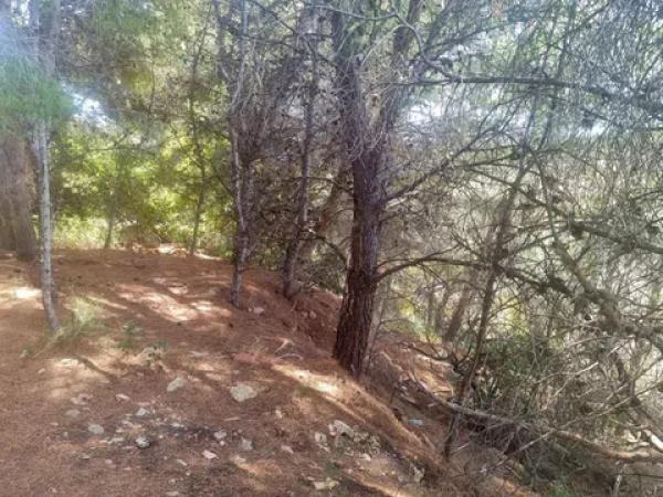 Terreno en calle la Xenna, 12