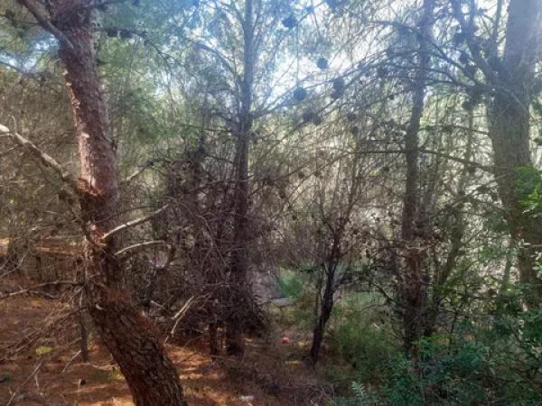 Terreno en calle la Xenna, 12