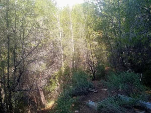 Terreno en calle la Xenna, 12