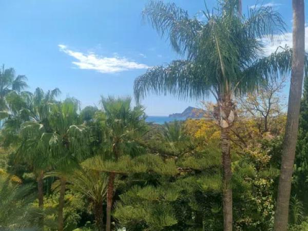 Terreno en calle la Xenna, 12