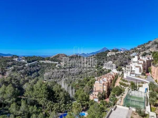 Terreno en calle Berlín, 660