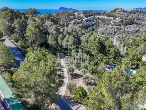 Terreno en calle Berlín, 660