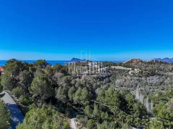 Terreno en calle Berlín, 660