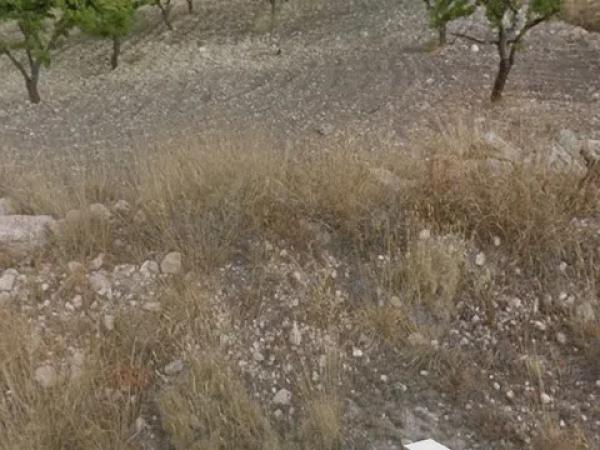 Terreno en Partida Puntes del Moro, 2