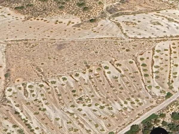 Terreno en Partida Puntes del Moro, 2