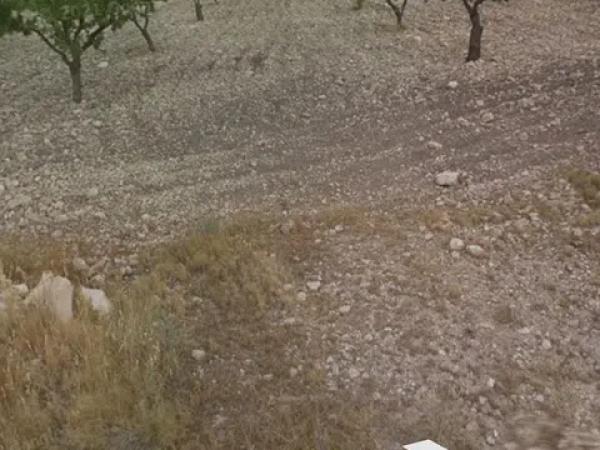 Terreno en Partida Puntes del Moro, 2