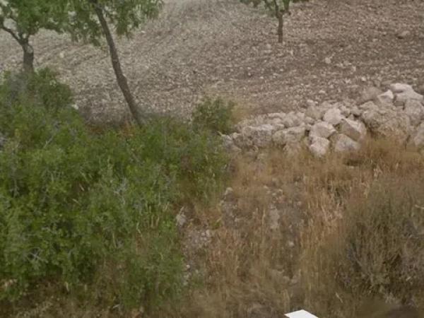 Terreno en Partida Puntes del Moro, 2