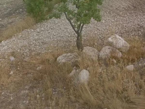 Terreno en Partida Puntes del Moro, 2