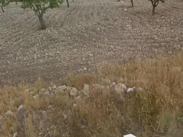 Terreno en Partida Puntes del Moro, 2