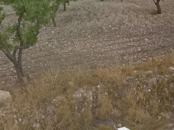 Terreno en Partida Puntes del Moro, 2