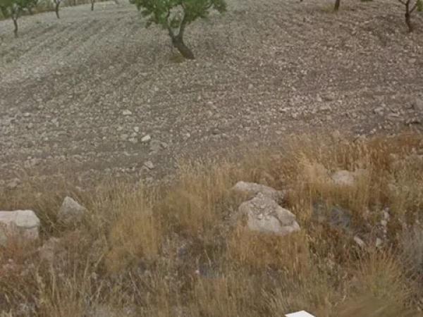 Terreno en Partida Puntes del Moro, 2