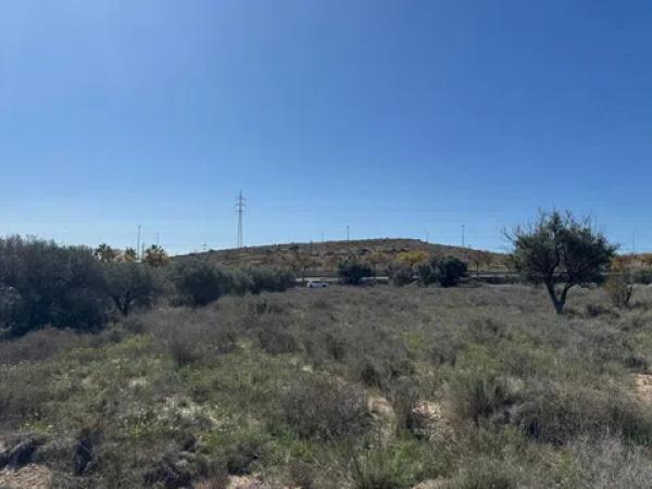 Terreno en Tangel Polígono 49 Parcela 69 y Parcela 65 s/n