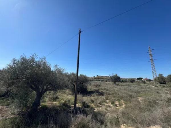 Terreno en Tangel Polígono 49 Parcela 69 y Parcela 65 s/n