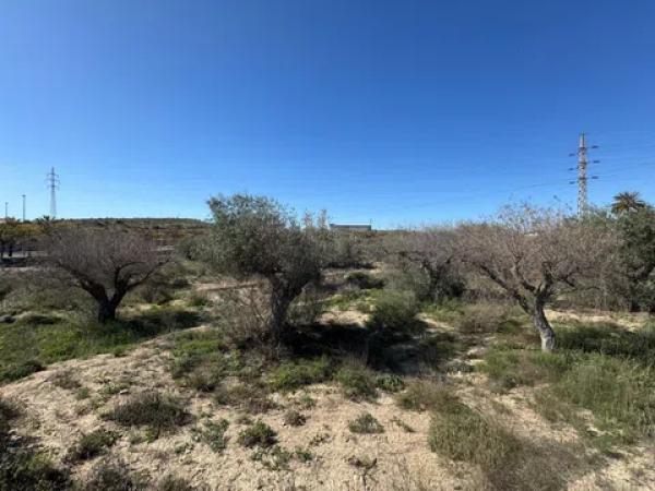 Terreno en Tangel Polígono 49 Parcela 69 y Parcela 65 s/n