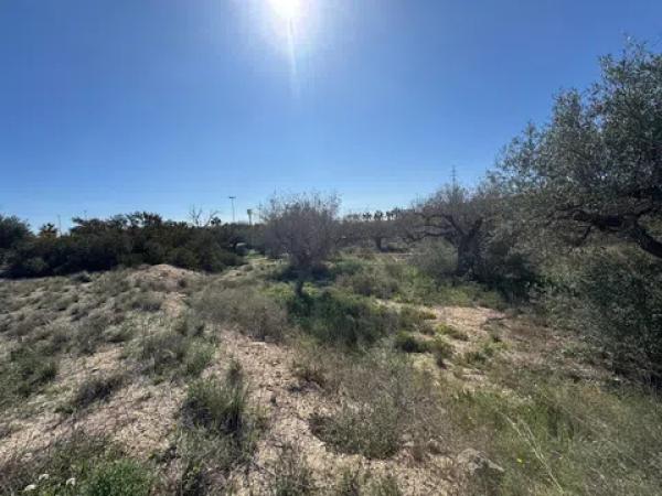 Terreno en Tangel Polígono 49 Parcela 69 y Parcela 65 s/n