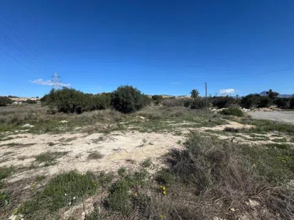 Terreno en Tangel Polígono 49 Parcela 69 y Parcela 65 s/n