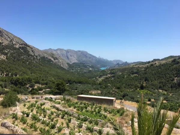 Terreno en calle de Dalt, 35