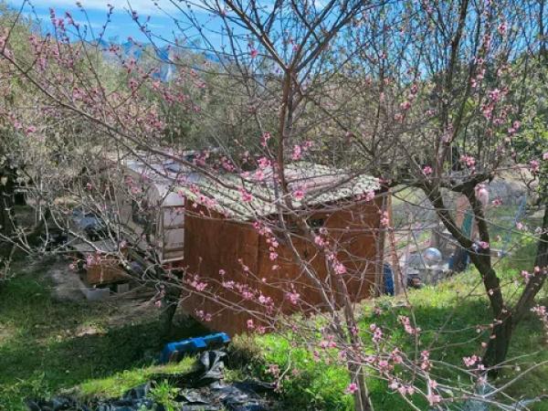 Terreno en calle de Dalt, 35