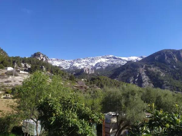 Terreno en calle de Dalt, 35