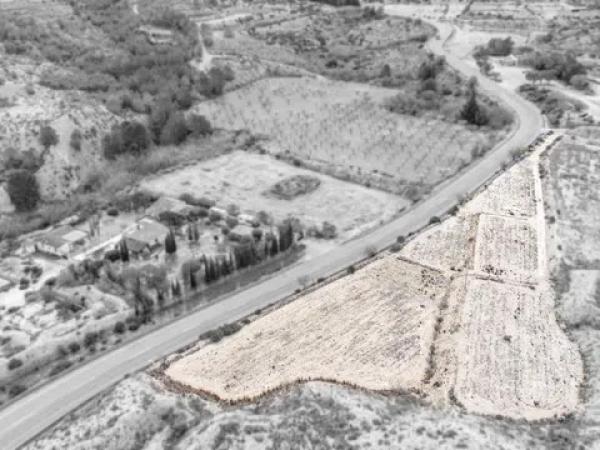 Terreno en Paraje Boriza