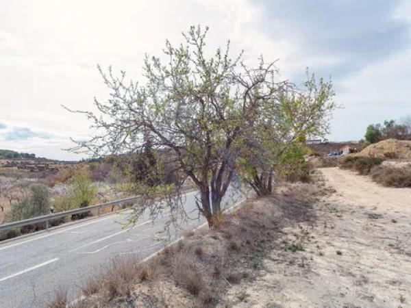 Terreno en Paraje Boriza