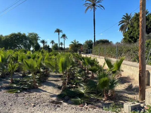 Terreno en daime polígono 1 numero 226