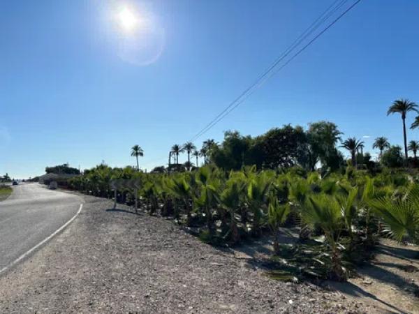 Terreno en daime polígono 1 numero 226