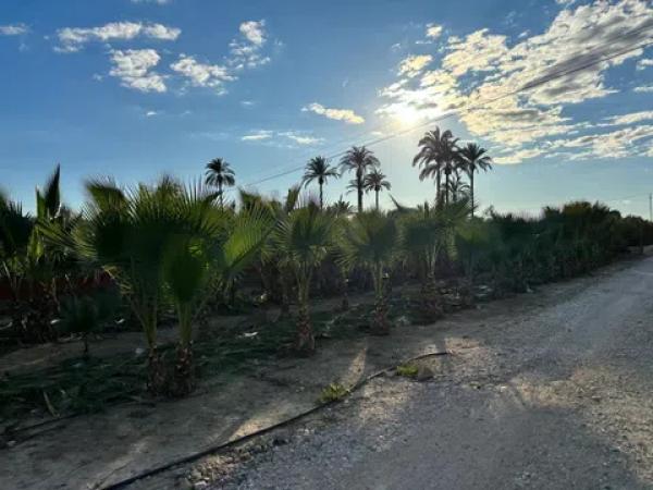 Terreno en daime polígono 1 numero 226