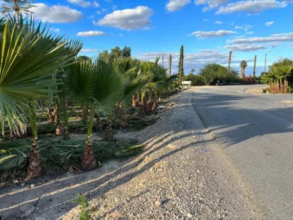 Terreno en daime polígono 1 numero 226