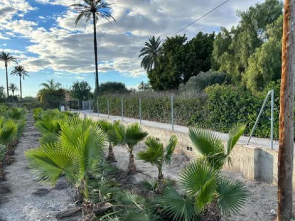 Terreno en daime polígono 1 numero 226