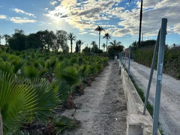 Terreno en daime polígono 1 numero 226