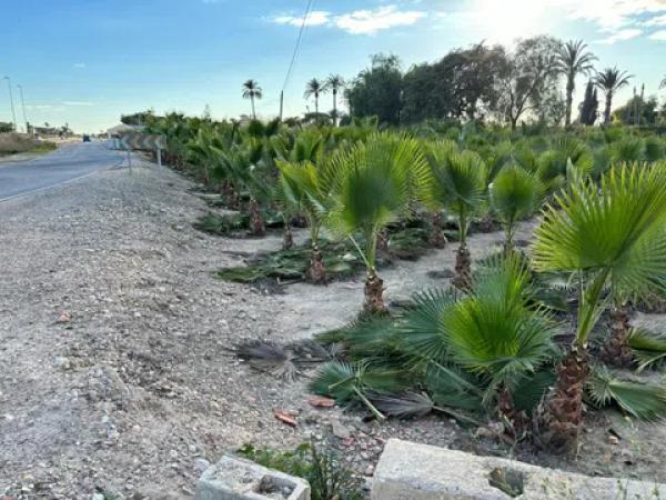 Terreno en daime polígono 1 numero 226