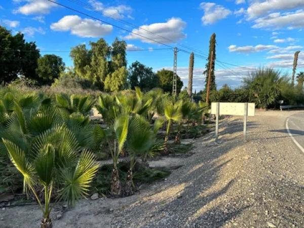 Terreno en daime polígono 1 numero 226