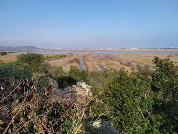 Terreno en avenida Monte Pego-Benimeli
